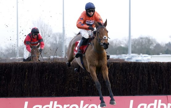 Bravemansgame is among Betfair Chase runners in 2023