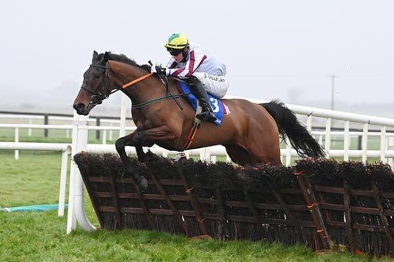 Cheltenham Lucky 15 Tips On Saturday