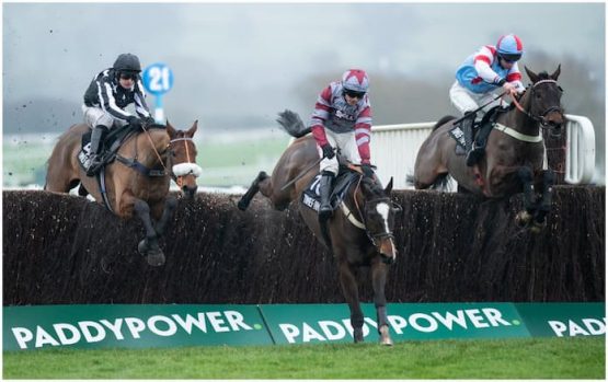 paddy power gold cup