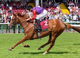 King Charles III Stakes introduced at Royal Ascot