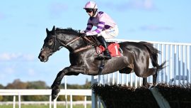 Rubaud among 2024 Kingwell Hurdle runners