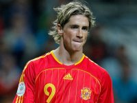 Spain name Euro 2012 squad: Torres in, Soldado out