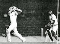 Cricket under the lights at Stamford Bridge