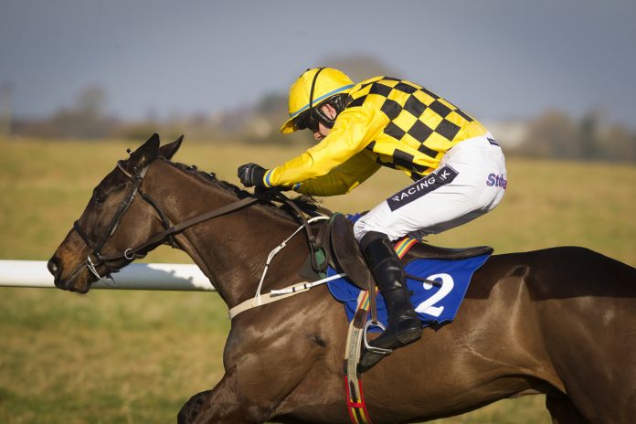 Fragility and Formidable Form Will Make for Intriguing Cheltenham Gold Cup
