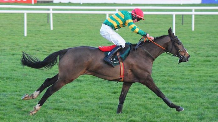 Anibale Fly Can Tear Up the Grand National Script