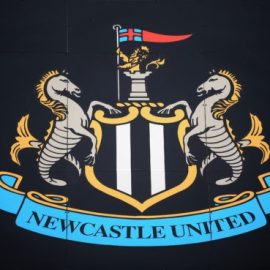 Newcastle United v Southampton - Premier League