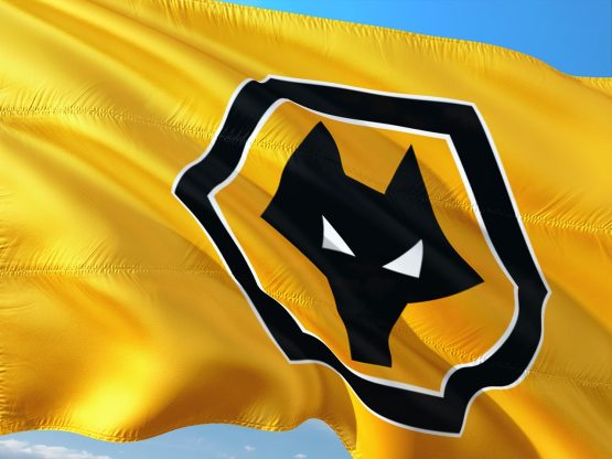 Wolves Banner