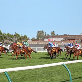 Ayr Gold Cup tips