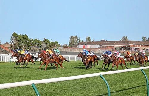 Ayr Gold Cup tips