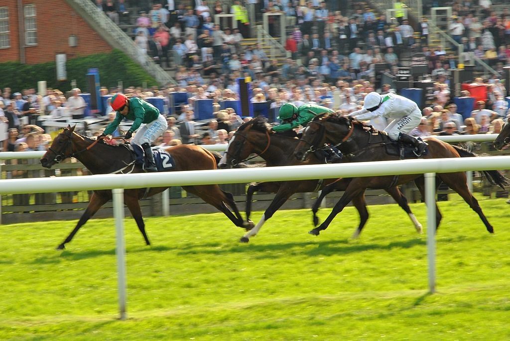 Lucky 15 tips for 9 October Lucky 15 bet from Newmarket, York and Chepstow