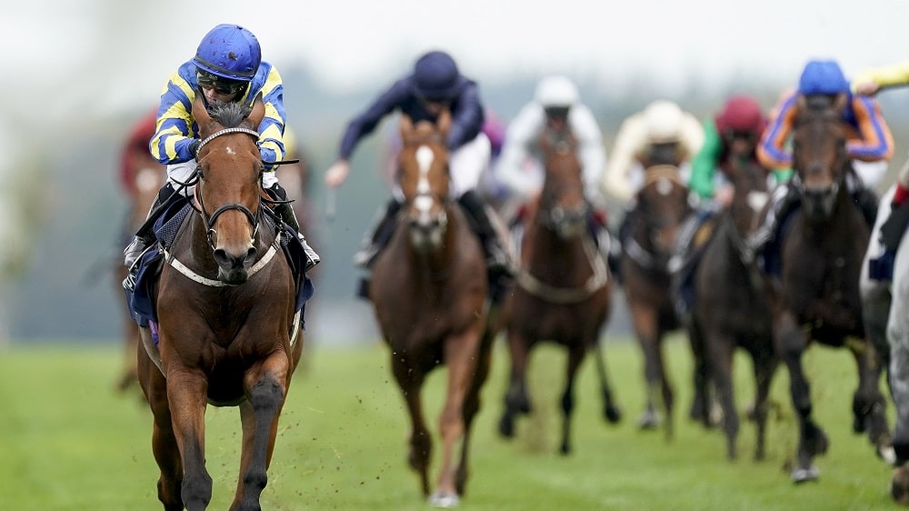 Qipco British Champions Day Betting Tips Ascot Sprint Stakes