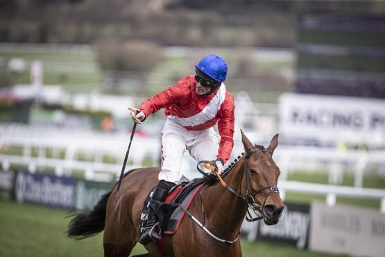 John Durkan Chase 2021 tips from Punchestown
