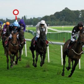 Lucky 15 tips for December 1 from Haydock