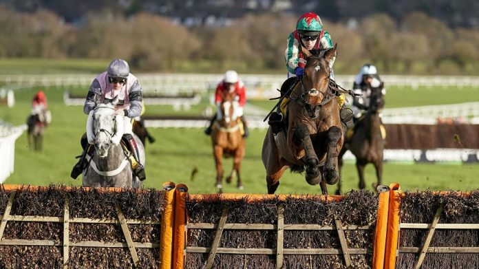 Racing Tips: 2022 Cheltenham Ante Post Tips – Lots to Like About Festival 33/1 Shot for Champion Hurdle Each Way thumbnail