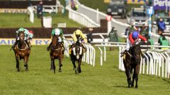 Allaho horse racing Ryanair Chase odds cut