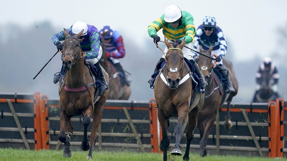 2022 Cleeve Hurdle tips from Cheltenham include Champ