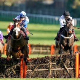 2022 Tolworth Hurdle tips from Sandown include Constitution Hill