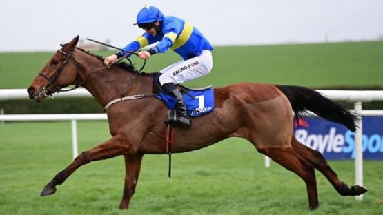 2022 Moscow Flyer Novice Hurdle tips from Punchestown include Dysart Dynamo