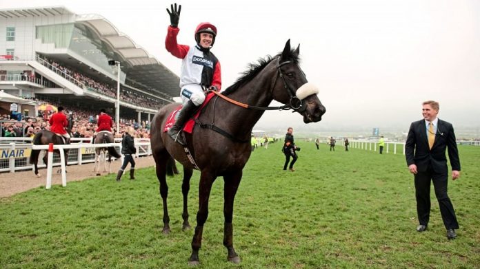 Cheltenham results say Big Buck's won the Stayers Hurdle four times