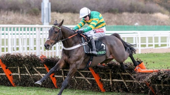 Cheltenham results include two-time Champion Hurdle winner Buveur D'Air 