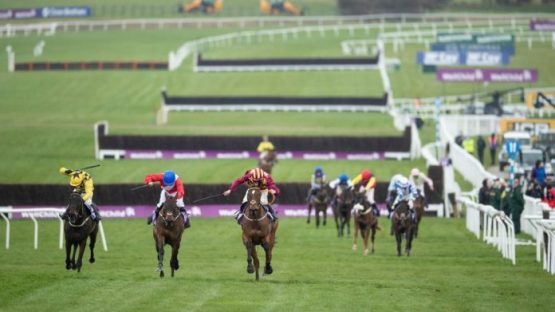 day 4 tips - gold cup