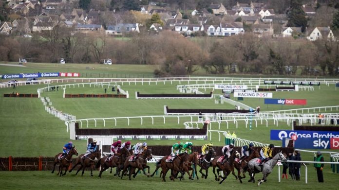 Cheltenham racecards tomorrow