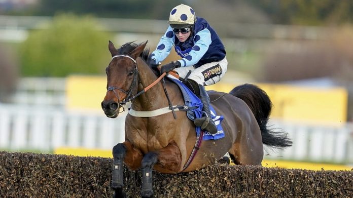 Edwardstone now heads 2022 Arkle betting odds outright