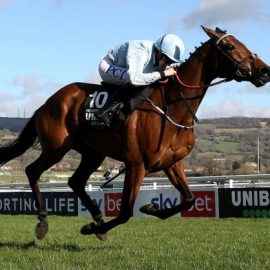 2022 Irish Champion Hurdle tips lead on Honeysuckle