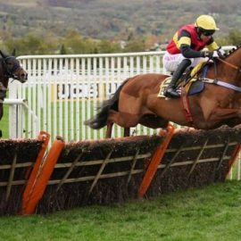 triumph hurdle