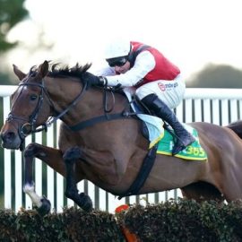 Haydock racing tips for 19 February include Molly Ollys Wishes