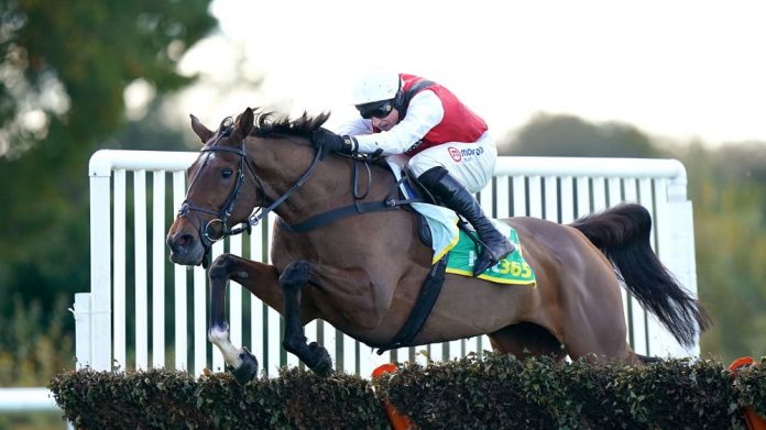 Haydock racing tips for 19 February include Molly Ollys Wishes