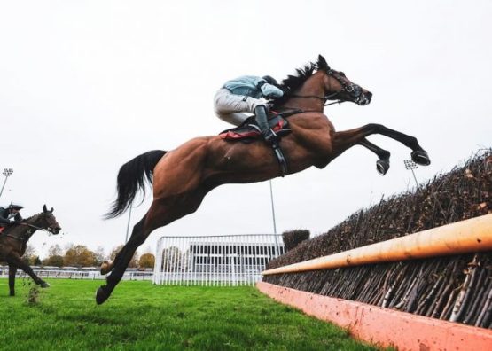 Coral Trophy Chase Free Bet Offer: £20 in Free Bets with LiveScoreBet