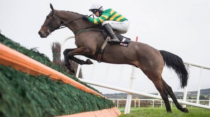 Ante post Grand National tips for the 2022 edition include Any Second Now