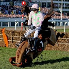 Cheltenham faller insurance