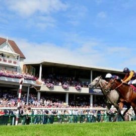 Haydock races today