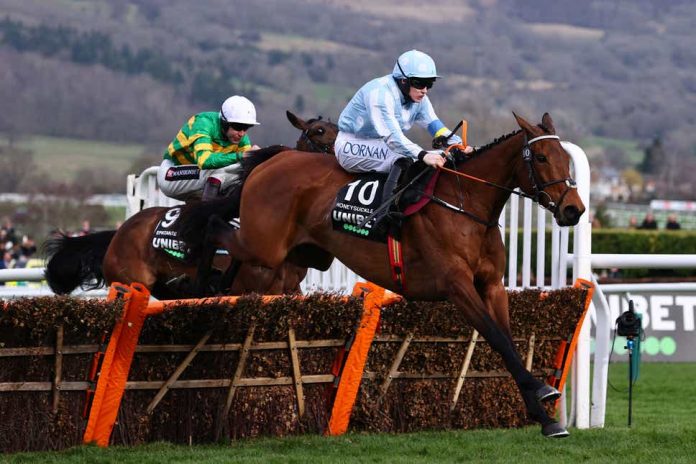 Honeysuckle heads 2023 Champion Hurdle odds once again
