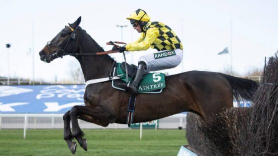 Best Bookmaker to Bet on Shishkin in the Champion Chase at Cheltenham