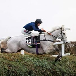 Snow Leopardess Grand National