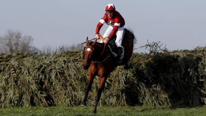 Tiger Roll is twice a winner in Grand National results