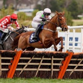 Cheltenham Festival betting offer Vauban and Elimay enhanced odds double