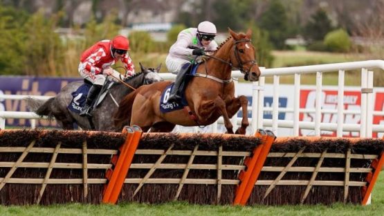 Cheltenham Festival betting offer Vauban and Elimay enhanced odds double