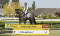Virtual Horse Racing Odds on Screen