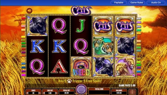 The Cats online slot game from the IGT brand