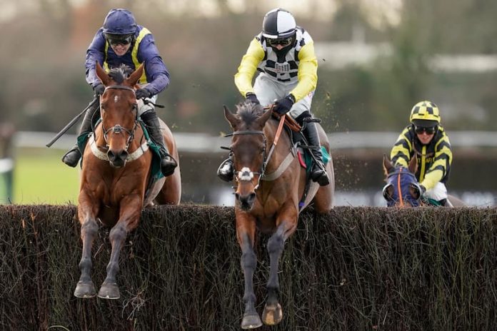 Grand National News: Support for Fiddlerontheroof @25/1 with QuinnBet