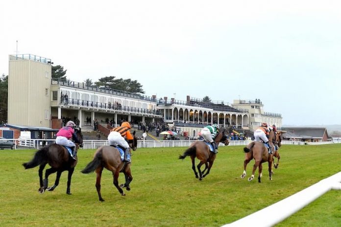 Lucky 15 Tips: Four horses to back on Thursday 3rd March
