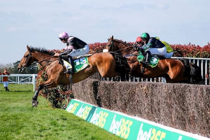 BET365 GOLD CUP new