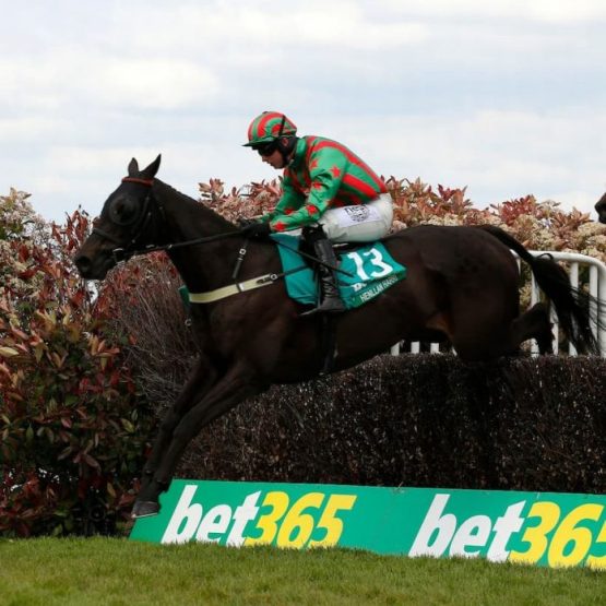 Bet365 Gold Cup
