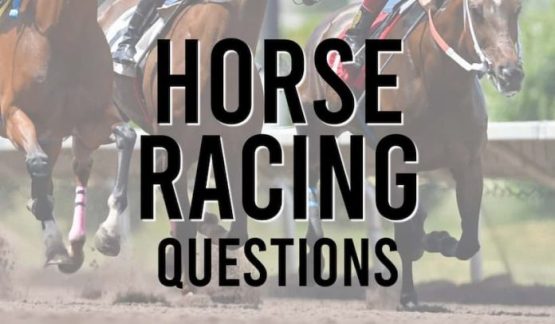 Horse Racing Questions