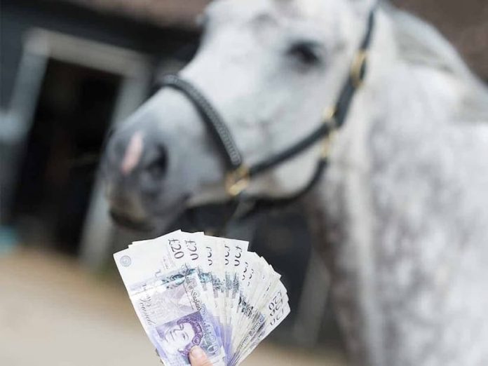 Horse racing free bets