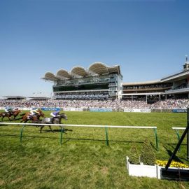 Newmarket races today at Newmarket Racecourse